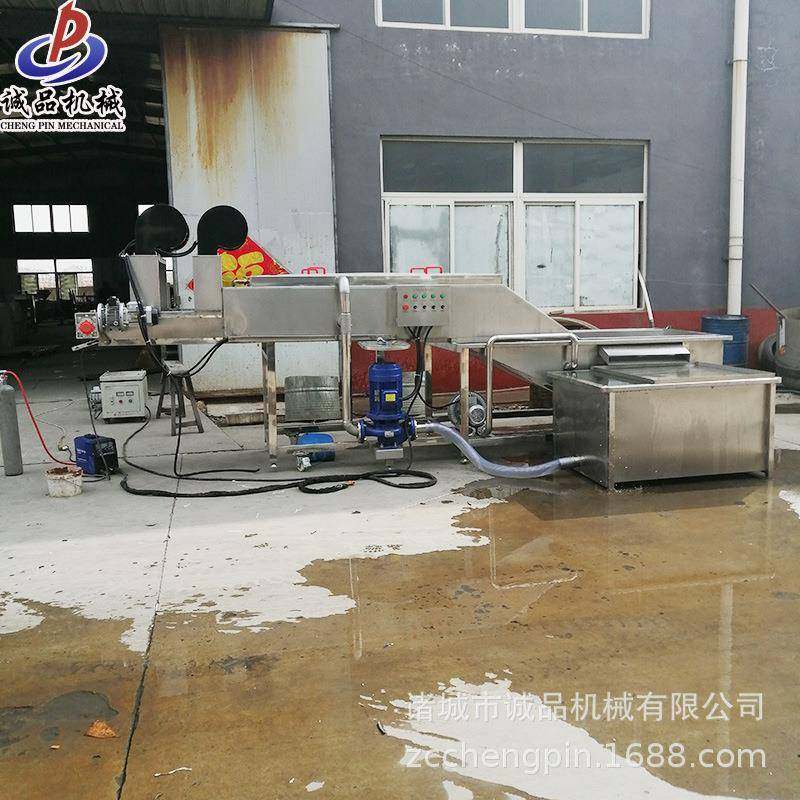 大姜泥姜小黄姜清洗设备全自动翻浪式生姜清洗机大型蔬菜清洗机,淘宝优惠券,粉丝福利购,淘宝优惠卷