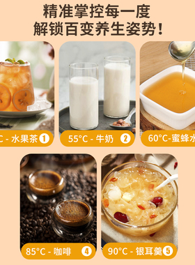 美菱多功能养生壶煮茶炖煮双全