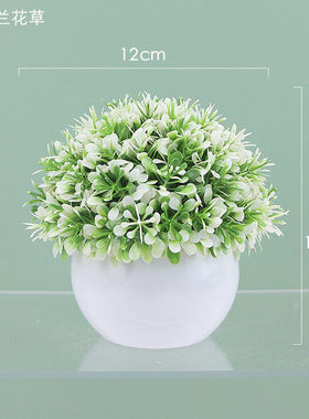 仿真绿植盆栽组合桌面摆件仿真花人造植物半球圆盆景室内摆设
