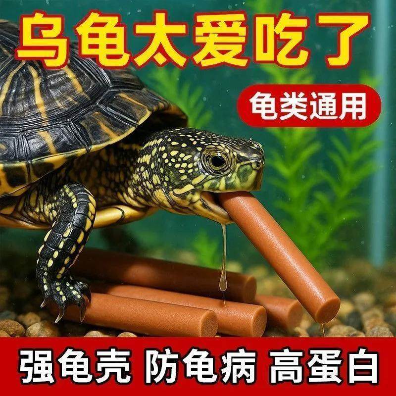 宠物零食火腿肠乌龟草龟吃的零食整箱批发幼龟训练龟饲料奖励宠物,淘宝优惠券,粉丝福利购,淘宝优惠卷
