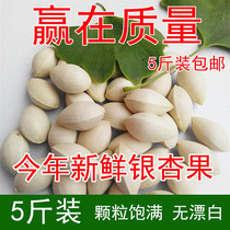 2023 Fresh Raw White Fruits Gingko Fruits 2500g Loaded Buddhas Finger White Fruits Gingko Nuts Deliver Recipes Gingko
