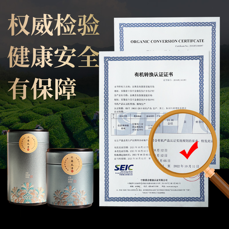 六安瓜片绿茶罐装55g正宗高山云雾新茶雨前茶手工耐泡口粮茶散装