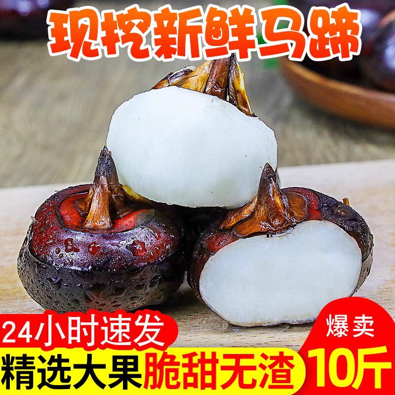 正宗新鲜马蹄荸荠5斤地梨孕妇水果农家地栗脆甜湖北现挖即食小果