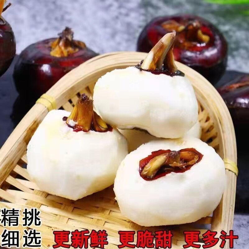 正宗新鲜马蹄荸荠5斤地梨孕妇水果农家地栗脆甜湖北现挖即食小果