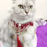 Шарф, воротник, нагрудник, ханьфу, аксессуар, праздничнная подвеска с кисточками, китайский стиль