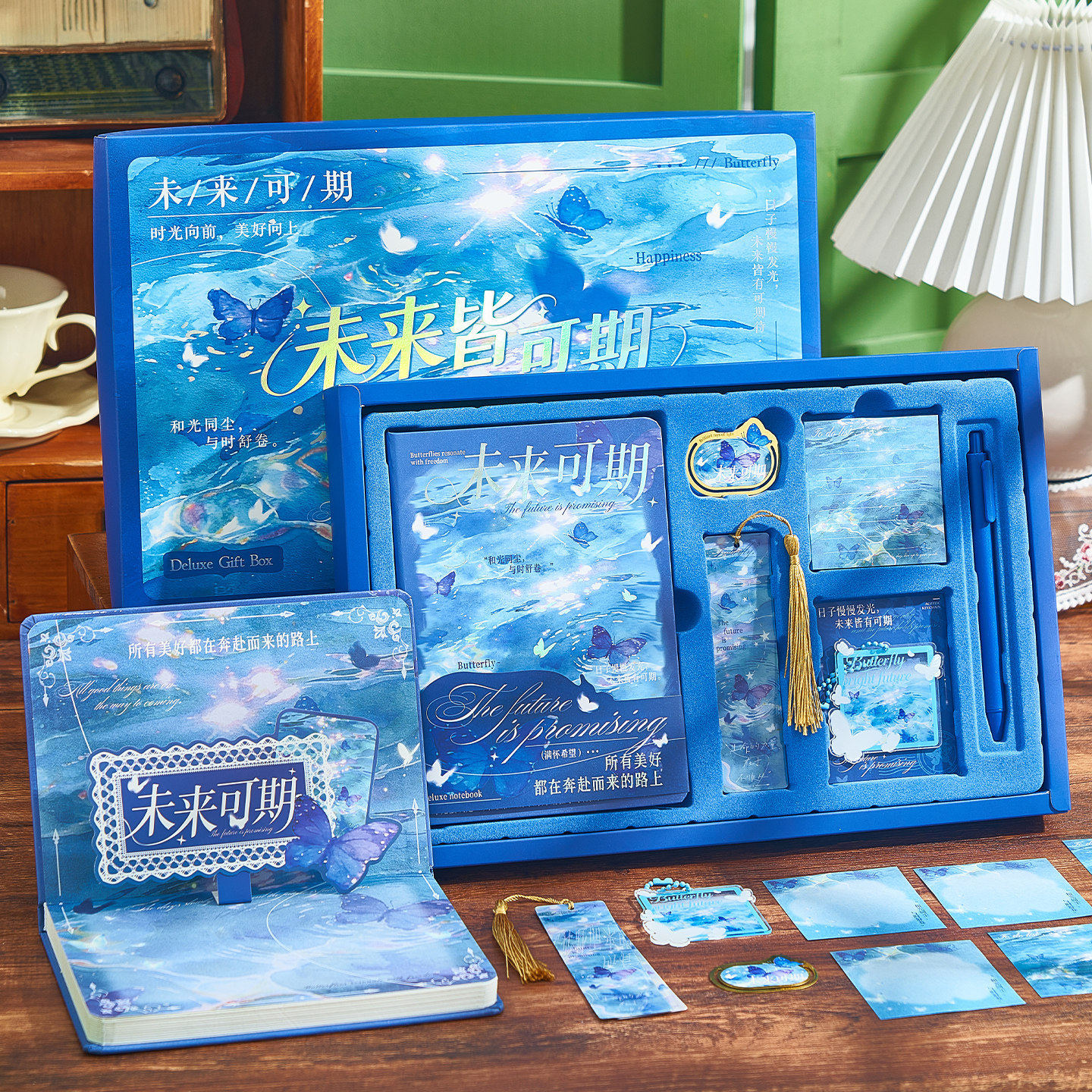 Beautiful butterfly koi gift box for students