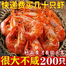 Ready-to-eat Special Large Shrimp Dry Open Bag Grilled Shrimp Large Shrimp Dry Dried Goods Dried Shrimp Antai Seafood Snacks Seafood Snack Bagged