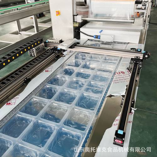 鸭蛋黄拉伸膜真空包装机 蛋黄酥连续式真空包装设备 蛋黄粽子封口 - 图1