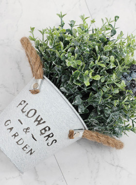 2025年新款仿真尤加利绿植北欧风情装饰无叶盆栽室内家居清新摆件