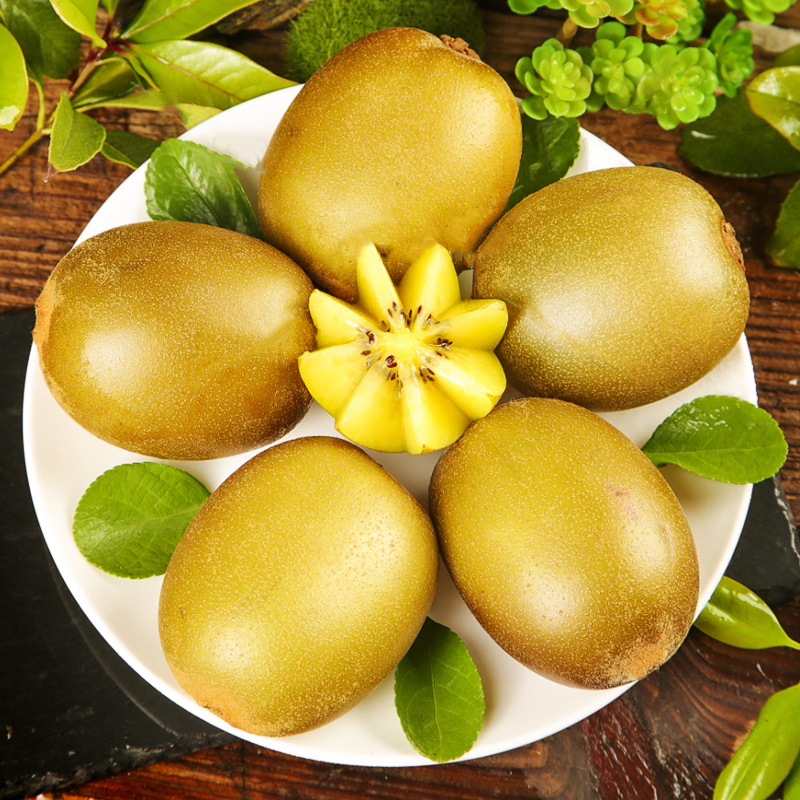  黄六爷果多多奇异果/猕猴桃