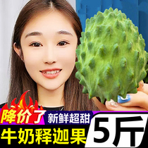 New Fresh Milk Sakya Fruits 10 Cati Fruits When Season Whole Boxes Pineapples With Big Eyes on Carthaminiot Berry Lychee