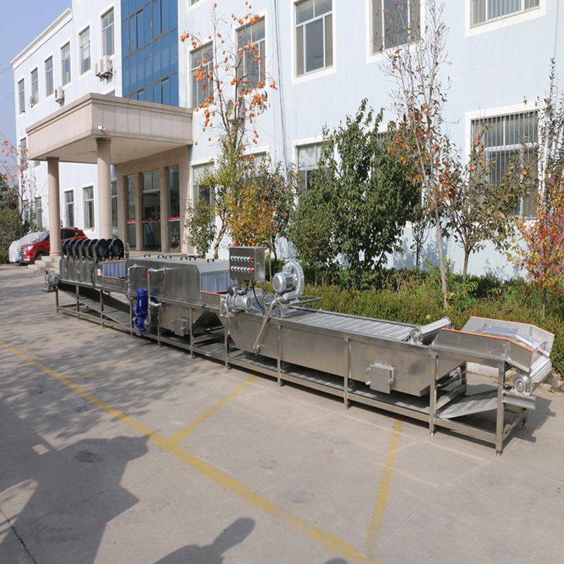 水果蔬菜清洗机 大枣加工流水线 高压气泡清洗设备 生产厂家,淘宝优惠券,粉丝福利购,淘宝优惠卷