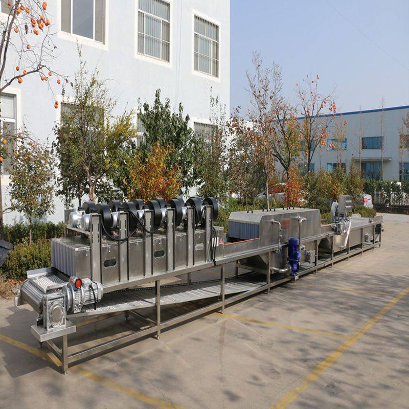 水果蔬菜清洗机 大枣加工流水线 高压气泡清洗设备 生产厂家,淘宝优惠券,粉丝福利购,淘宝优惠卷