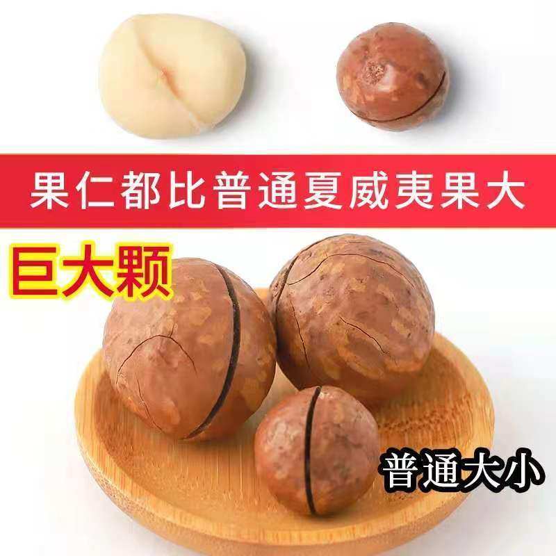 新货大颗粒夏威夷果奶油味袋装净重干果批发孕妇坚果零食大礼包,淘宝优惠券,粉丝福利购,淘宝优惠卷