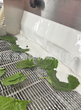 天妇罗桑叶上浆机 香酥翠叶裹浆设备 桑叶上浆油炸流水线