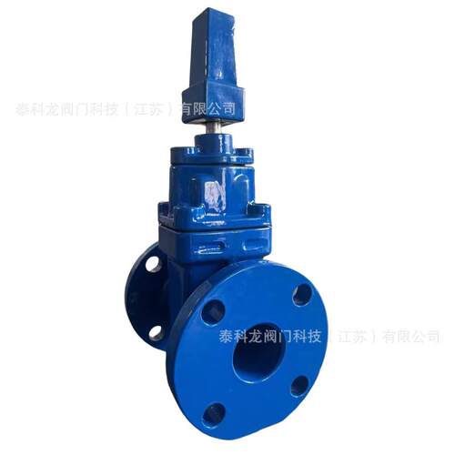 美标 AWWA 150LB 埋地式 弹性座封软密封 表前法兰闸阀 - 图1
