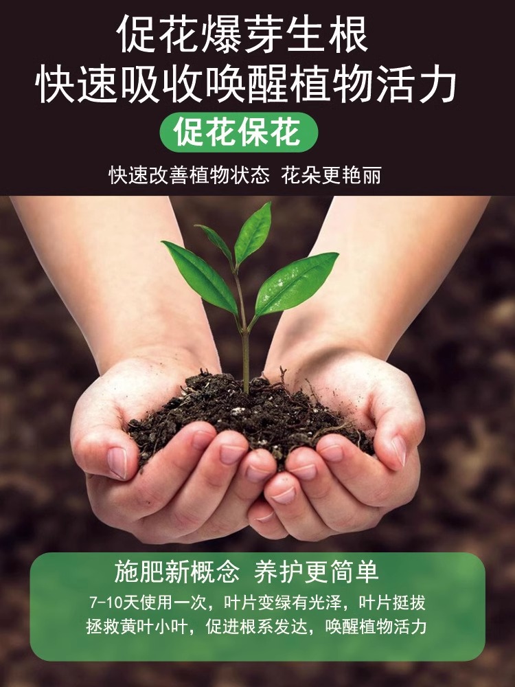 【草莓营养液】草莓专用肥防黄叶催开花促结果免稀释盆栽液体肥料-图1