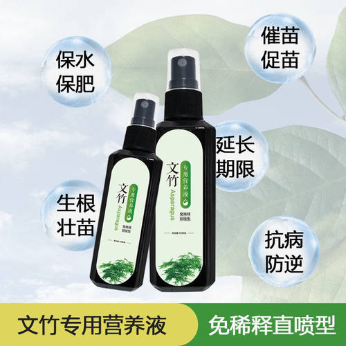 【四季爆芽】文竹专用肥营养液治叶子发黄枯瘦干尖烂根落叶促生长 - 图2