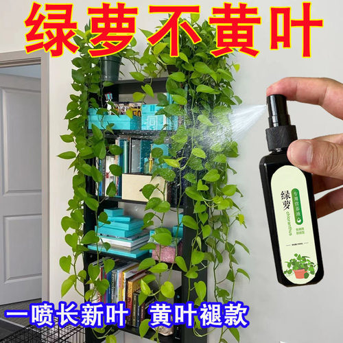 营养液植物通用型花肥盆栽花卉绿萝富贵竹发财树水培家用养花肥料-图2