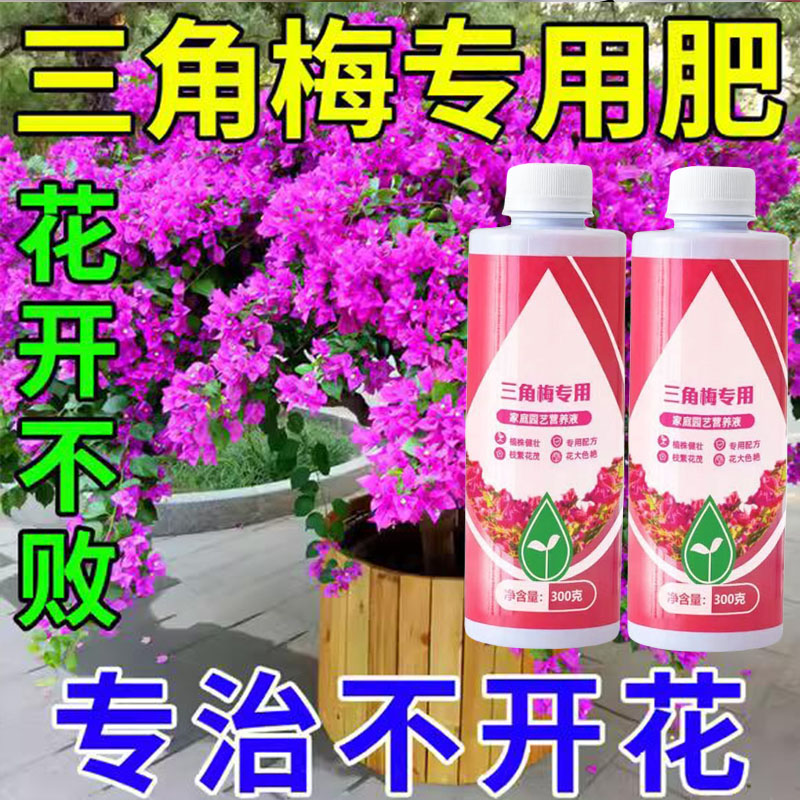 三角梅专用肥催花营养液家用养花卉通用型梅花促花保花腊梅催花素 - 图2