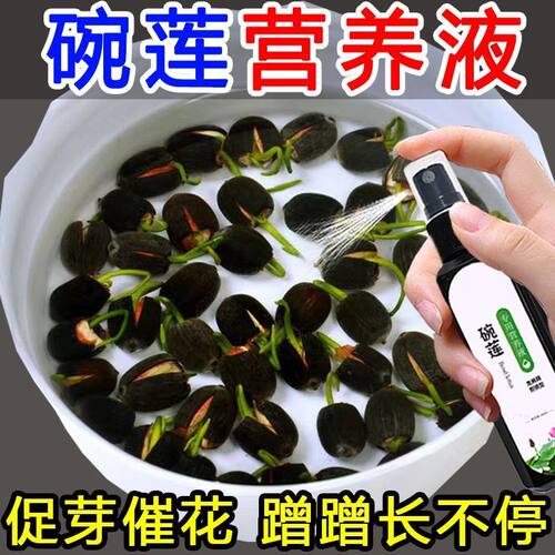 碗莲营养液专用水溶肥水培土培睡莲通用肥料治生长慢发芽不开花 - 图0
