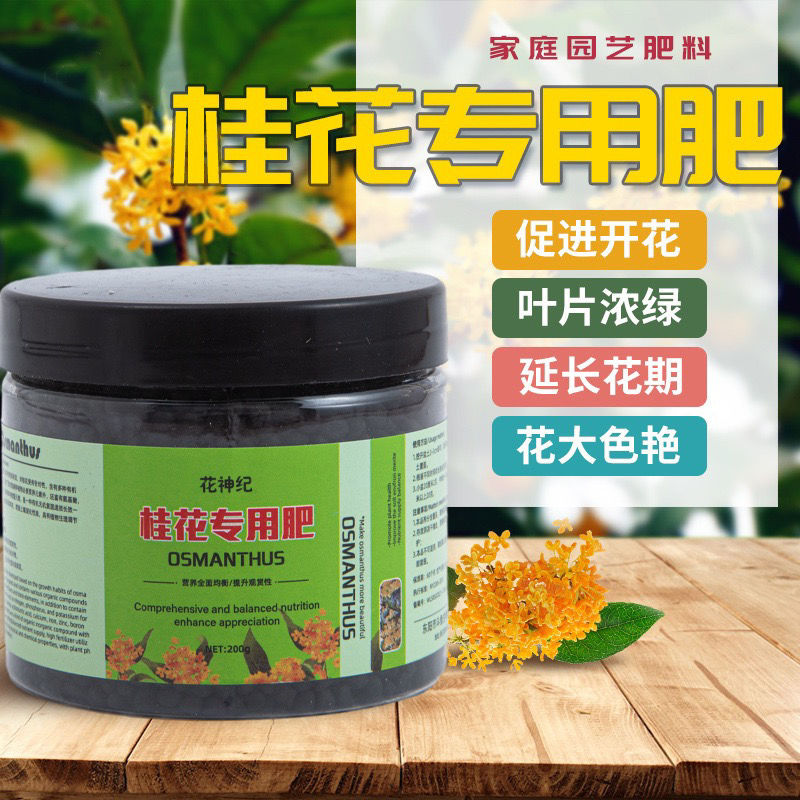 桂花枯叶病黄叶焦叶尖干叶虫孔叶斑病落叶专用肥桂花树肥料专用肥 - 图0