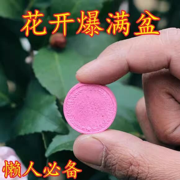 植物营养缓释片肥料氮磷钾种花养花肥家用果蔬盆栽花卉通用型精华 - 图3