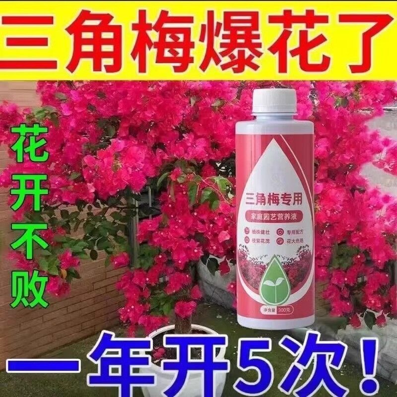 三角梅肥料专用肥植物营养液梅花盆栽家用花卉养花促开花腊梅通用