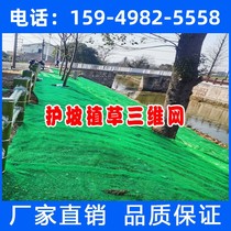 Three-dimensional Vegetation Network Protection Slope Solid Soil Planting Grass Nets Three-dimensional Water Soil Protection Blanket Manufacturer Riverway Governance Garden Forest Greening Net