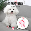 Dog anti-dirty bandage