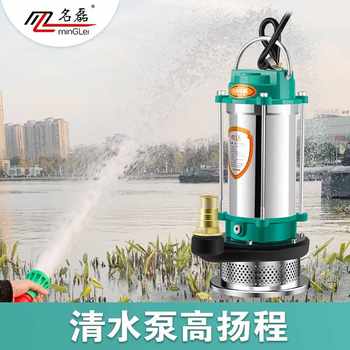 ປັ໊ມ submersible ສະແຕນເລດ 220v ປັ໊ມນ້ໍາໃນຄົວເຮືອນ pumping ຂະຫນາດນ້ອຍຍົກສູງຊົນລະປະທານກະສິກໍາ pump ໄຫຼຂະຫນາດໃຫຍ່