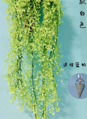 彷真金钟柳客厅墙面装饰室内绿植壁挂花藤垂吊藤条植物假花藤蔓