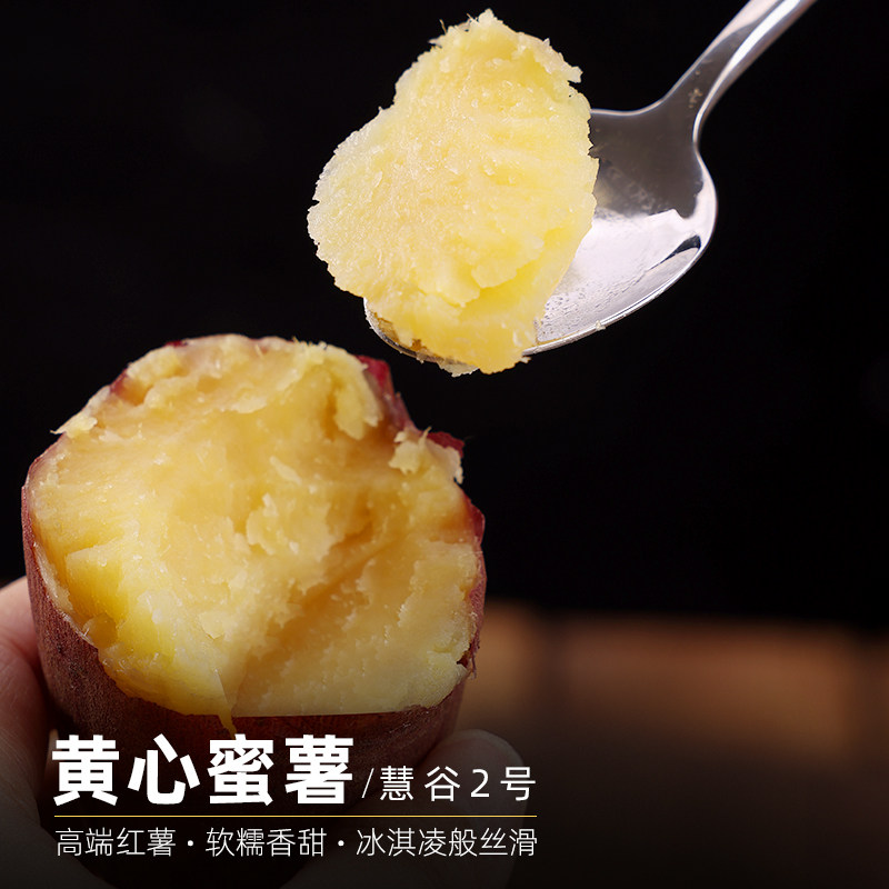 52度良作红薯礼盒装新鲜红薯农家自种黄心番薯沙地蜜薯3斤,淘宝优惠券,粉丝福利购,淘宝优惠卷