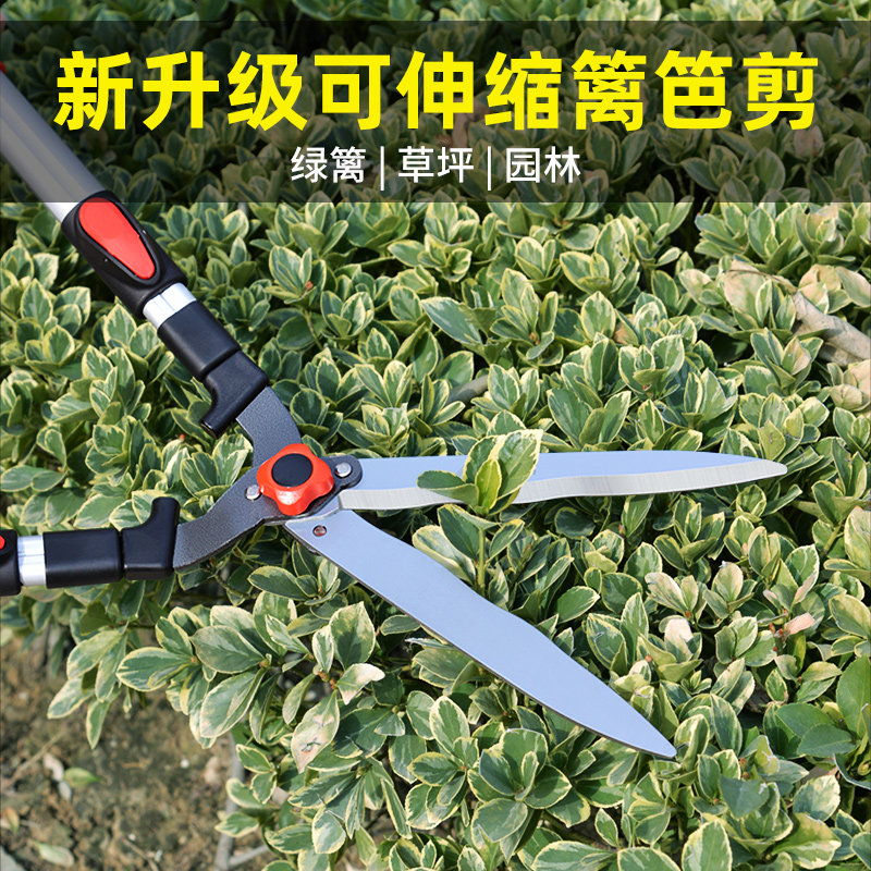 德国修剪树枝剪刀修枝剪园林伸缩杆刀剪大园艺绿化剪子剪树枝专用,淘宝优惠券,粉丝福利购,淘宝优惠卷