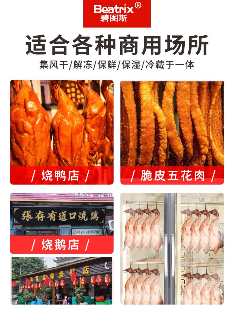 碧图斯商用晾胚柜风冷晾鸭柜烤鸭风干柜烧鸭风干机烧鹅烧腊吹鸭柜 - 图1