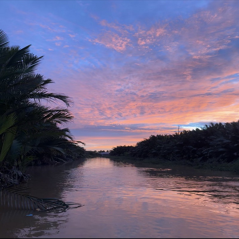 初海 马来西亚旅游 沙巴亚庇大王花基地一日游 可搭配kawa红树林 - 图2