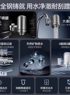 德国进口家用通用前置厨房净水器
