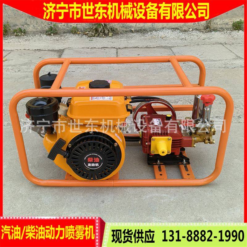 供应3WH-26型柱塞泵打药机 世东农林汽油喷雾机园林喷灌打药机,淘宝优惠券,粉丝福利购,淘宝优惠卷