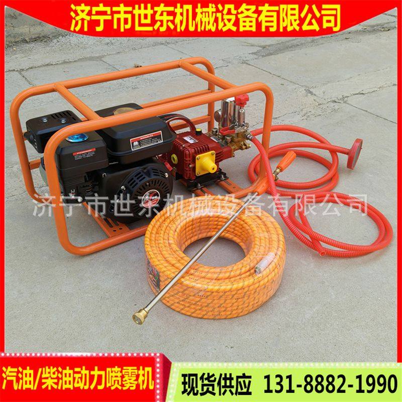 供应3WH-26型柱塞泵打药机 世东农林汽油喷雾机园林喷灌打药机,淘宝优惠券,粉丝福利购,淘宝优惠卷