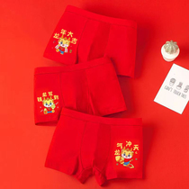 Childrens red briefs Boy Ben life Pure cotton shorts CUHK Scout 12 Little boys 12 13-year-old Flat Cape Horn