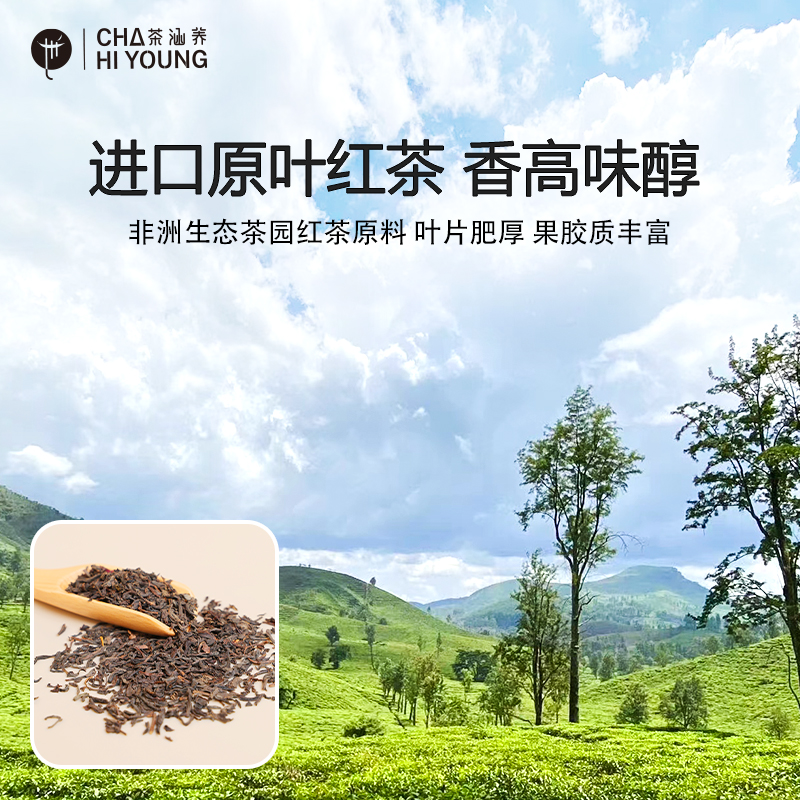 进口红茶低因脱咖啡因脱因玫瑰柠檬茉莉茶包独立小包装原叶袋泡茶