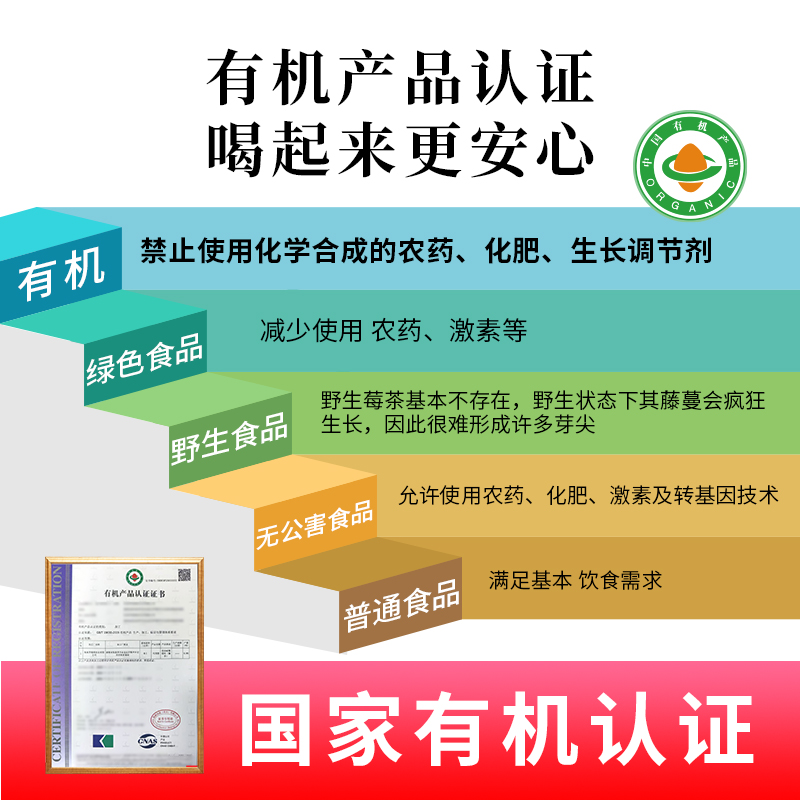 张家界永顺高山有机莓茶芽尖正宗龙须藤茶润喉护嗓养生茶泡水喝的
