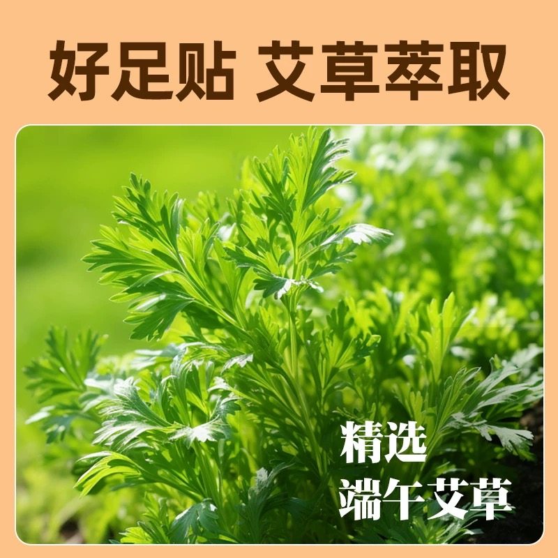 艾草暖足贴暖宝宝贴自发热鞋垫暖脚神器防寒保暖宝宝贴生姜暖脚贴,淘宝优惠券,粉丝福利购,淘宝优惠卷