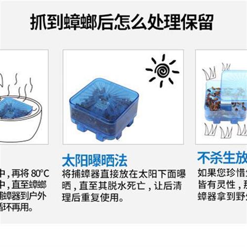 灭抓蟑螂药诱大容量捕捉器克星家用除捉捕大小通杀蟑螂屋神器盒子 - 图2