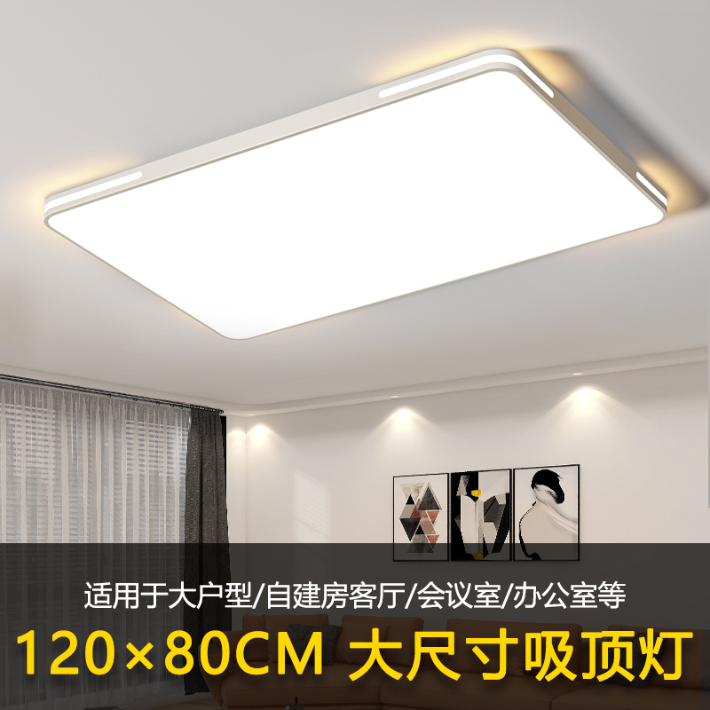 led特大客厅灯超大吸顶灯长方形120cm大厅灯80cm大灯办公室灯具 - 图0