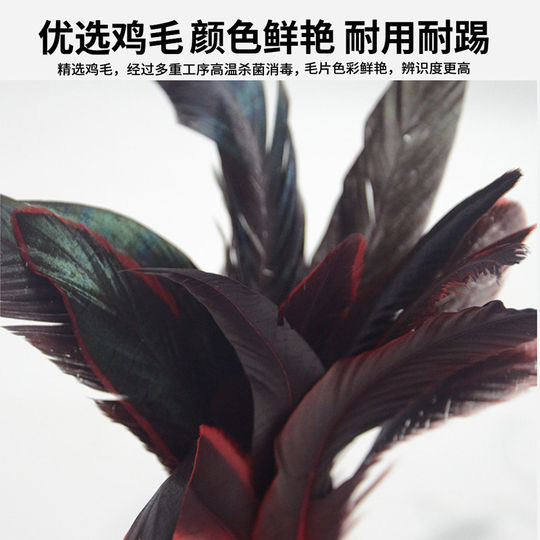 Federball für Fitnesswettkämpfe für Erwachsene