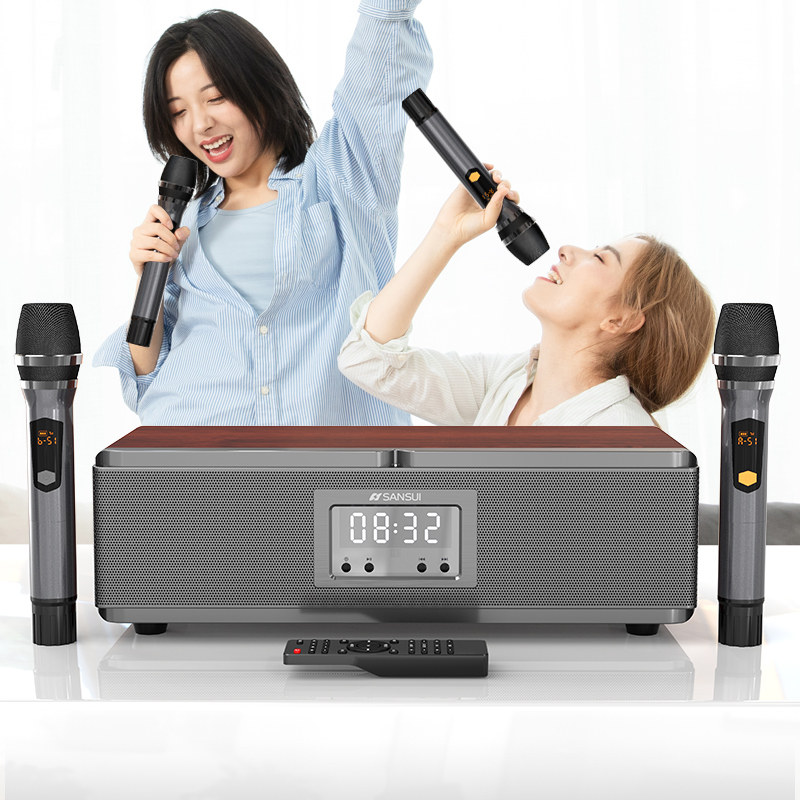  山水名子KTV/卡拉OK音箱