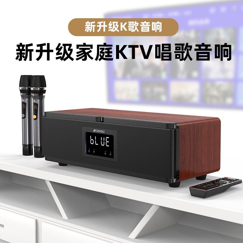  山水名子KTV/卡拉OK音箱