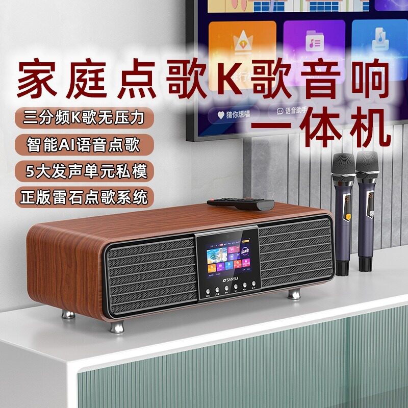  山水名子KTV/卡拉OK音箱