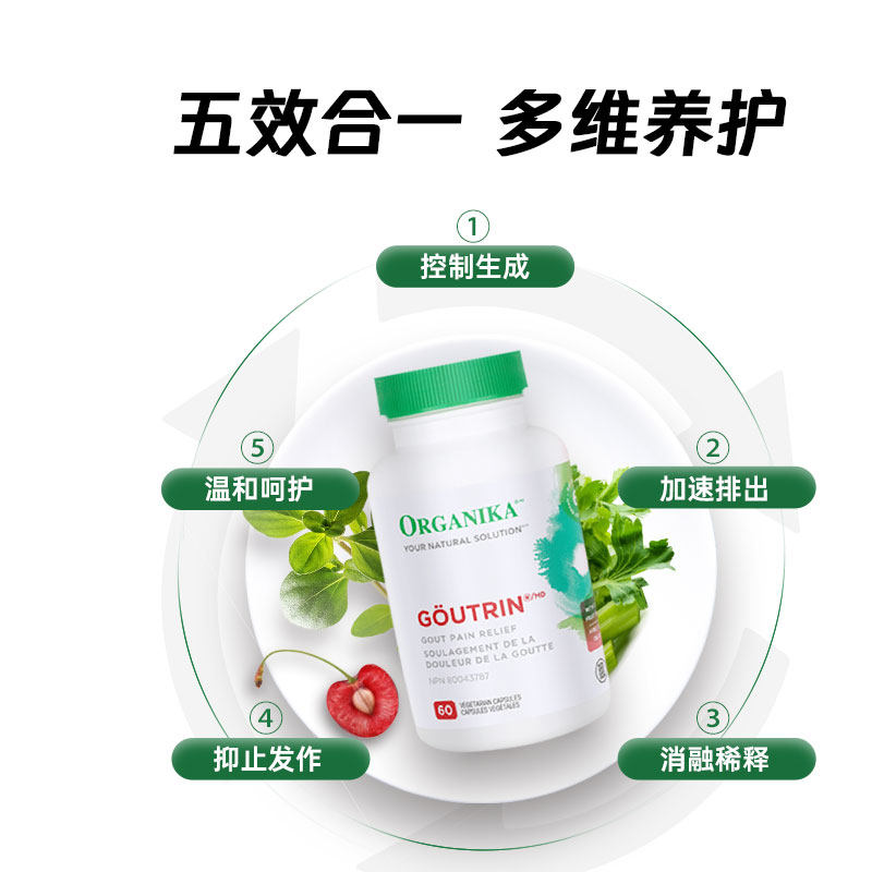 Organika高浓度芹菜籽西芹籽黑樱桃精华胶囊风痛降排平衡养护关节
